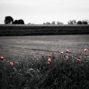 尼泊耳熟妇人XXXXXX
