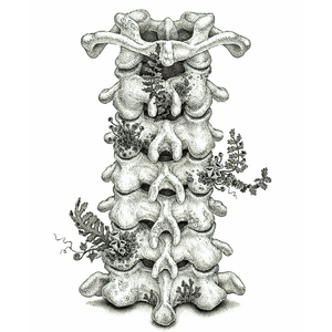 尼泊耳熟妇人XXXXXX
